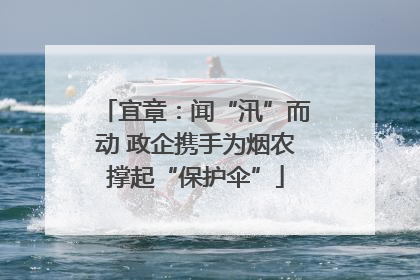 宜章：闻“汛”而动 政企携手为烟农撑起“保护伞”