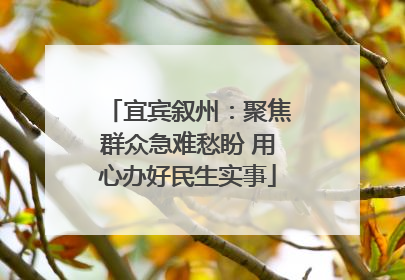 宜宾叙州：聚焦群众急难愁盼 用心办好民生实事