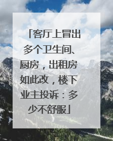 客厅上冒出多个卫生间、厨房，出租房如此改，楼下业主投诉：多少不舒服