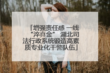 增强责任感 一线“淬真金” 湖北司法行政系统锻造高素质专业化干警队伍