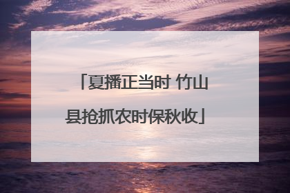 夏播正当时 竹山县抢抓农时保秋收
