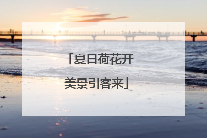 夏日荷花开 美景引客来