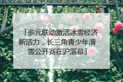 多元联动激活冰雪经济新活力，长三角青少年滑雪公开赛在沪落幕