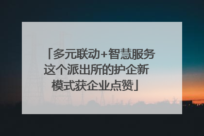 多元联动+智慧服务 这个派出所的护企新模式获企业点赞