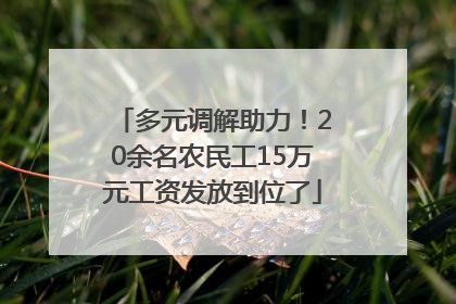 多元调解助力！20余名农民工15万元工资发放到位了