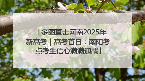 多图直击河南2025年新高考｜高考首日：南阳考点考生信心满满迎战
