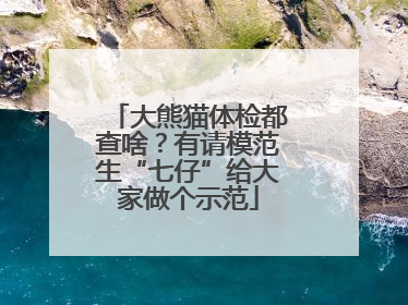大熊猫体检都查啥？有请模范生“七仔”给大家做个示范