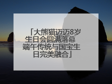 大熊猫迈迈8岁生日会圆满落幕 端午传统与国宝生日完美融合