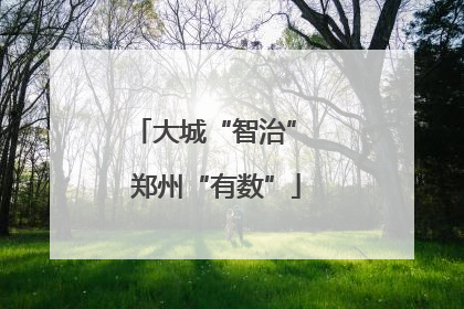 大城“智治” 郑州“有数”