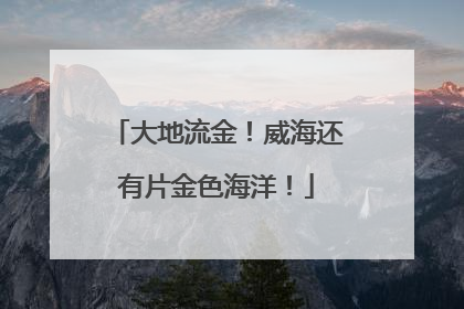 大地流金！威海还有片金色海洋！