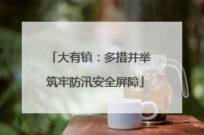 大有镇：多措并举筑牢防汛安全屏障