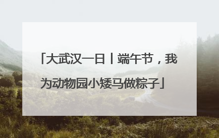 大武汉一日丨端午节，我为动物园小矮马做粽子