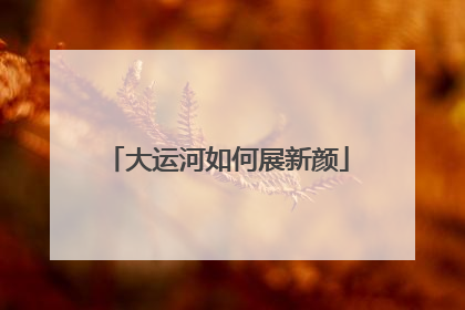 大运河如何展新颜