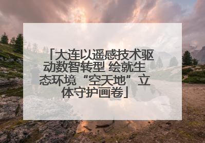 大连以遥感技术驱动数智转型 绘就生态环境“空天地”立体守护画卷
