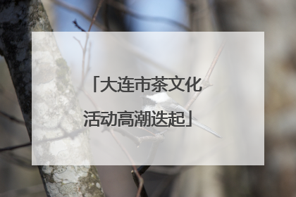 大连市茶文化活动高潮迭起