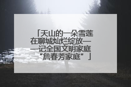 天山的一朵雪莲在聊城灿烂绽放——记全国文明家庭“詹春芳家庭”