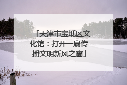 天津市宝坻区文化馆：打开一扇传播文明新风之窗