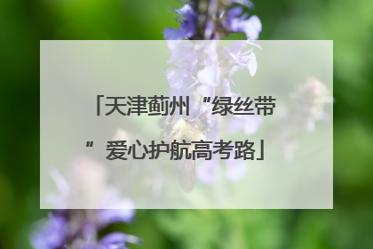 天津蓟州“绿丝带”爱心护航高考路