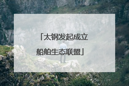 太钢发起成立船舶生态联盟