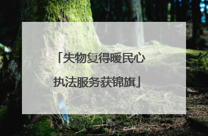 失物复得暖民心 执法服务获锦旗