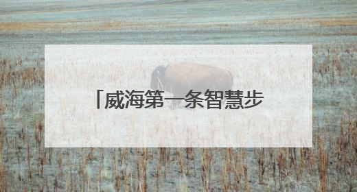 威海第一条智慧步道！赶紧来测测！