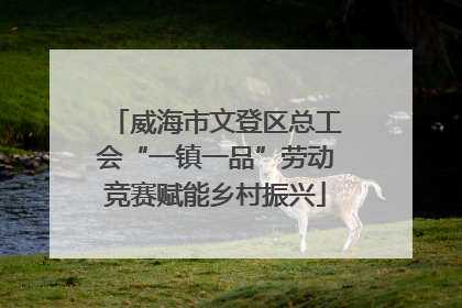 威海市文登区总工会“一镇一品”劳动竞赛赋能乡村振兴