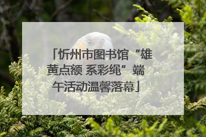 忻州市图书馆“雄黄点额 系彩绳”端午活动温馨落幕