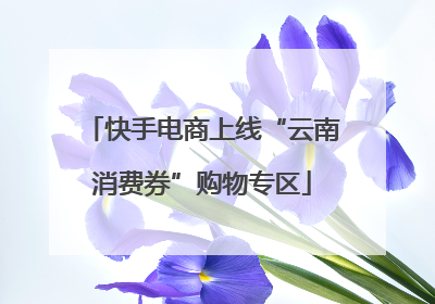 快手电商上线“云南消费券”购物专区