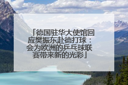 德国驻华大使馆回应樊振东赴德打球：会为欧洲的乒乓球联赛带来新的光彩
