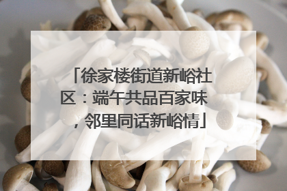 徐家楼街道新峪社区：端午共品百家味，邻里同话新峪情