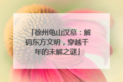 徐州龟山汉墓：解码东方文明，穿越千年的未解之谜