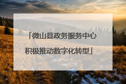 微山县政务服务中心积极推动数字化转型