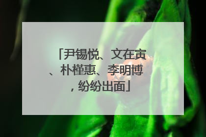 尹锡悦、文在寅、朴槿惠、李明博，纷纷出面