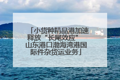 小货种精品港加速释放“长尾效应” 山东港口渤海湾港国际件杂货运业务