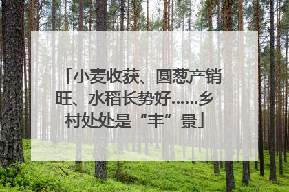 小麦收获、圆葱产销旺、水稻长势好……乡村处处是“丰”景
