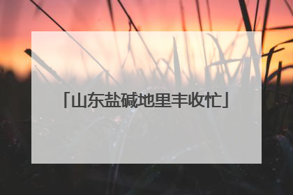 山东盐碱地里丰收忙