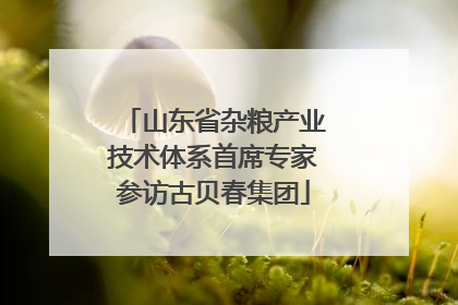 山东省杂粮产业技术体系首席专家参访古贝春集团