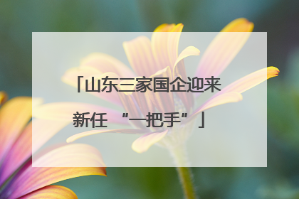 山东三家国企迎来新任 “一把手”