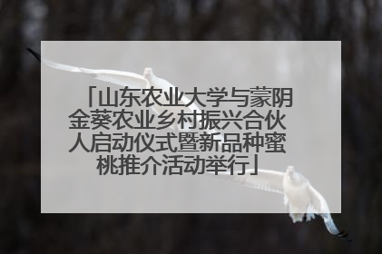山东农业大学与蒙阴金葵农业乡村振兴合伙人启动仪式暨新品种蜜桃推介活动举行
