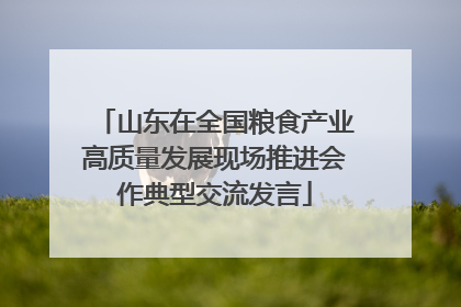 山东在全国粮食产业高质量发展现场推进会作典型交流发言