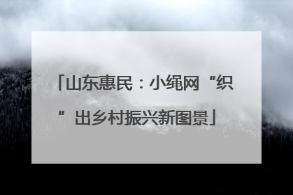 山东惠民：小绳网“织”出乡村振兴新图景
