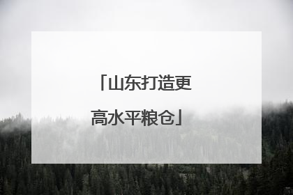 山东打造更高水平粮仓