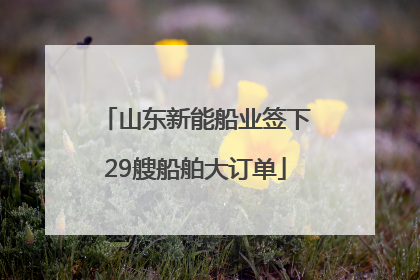 山东新能船业签下29艘船舶大订单