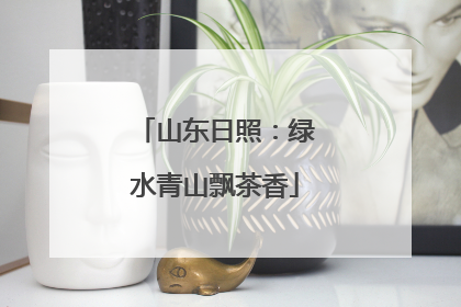 山东日照：绿水青山飘茶香