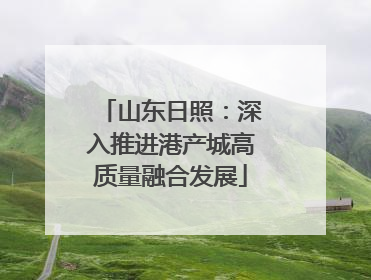 山东日照：深入推进港产城高质量融合发展