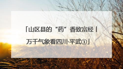 山区县的“药”香致富经丨万千气象看四川·平武③