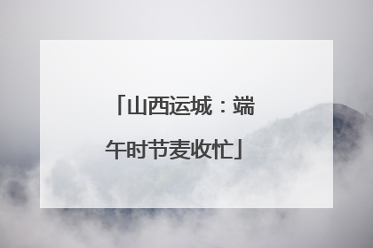山西运城：端午时节麦收忙