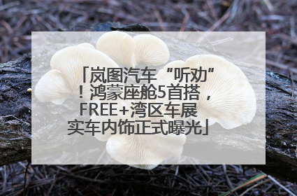 岚图汽车“听劝”！鸿蒙座舱5首搭，FREE+湾区车展实车内饰正式曝光