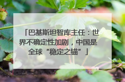 巴基斯坦智库主任：世界不确定性加剧，中国是全球“稳定之锚”