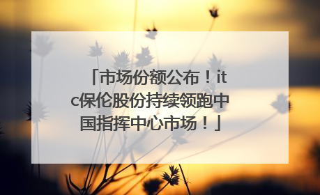 市场份额公布！itc保伦股份持续领跑中国指挥中心市场！